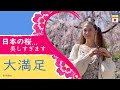 ウクライナから来たエリザベータです!日本のサクラが最高過ぎます!