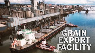 Feeding the World - A Tour of UGC's Massive Export Terminal