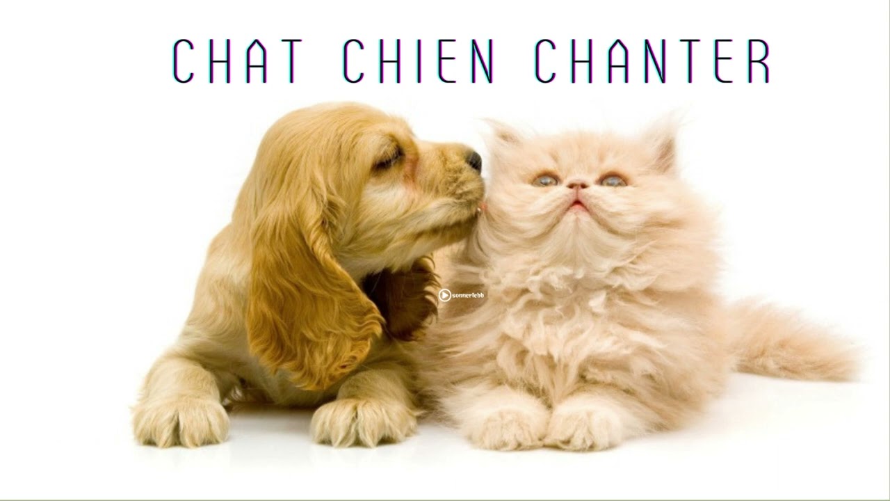 Lovely Pets Chapter 2