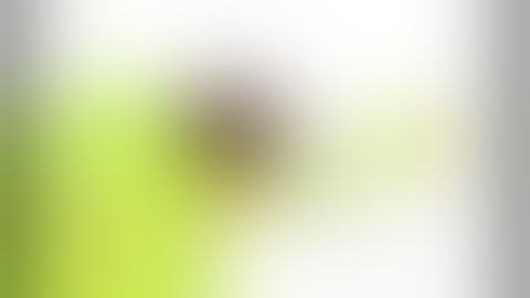 Deltarune In A Nutshell (Chapter 1) (reupload)