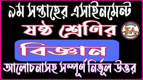 Class 6 Science 9th Week Assignment Answer 2021 | ৬ষ্ঠ শ্রেণির ৯ম সপ্তাহের বিজ্ঞান এসাইনমেন্ট উত্তর|