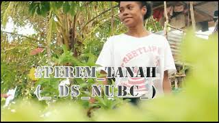 Download Lagu Perem Tanah_-_DS Family_Ft_NUBC_ (Lagu Reggae 2021)_ MP3