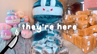 100+ boxes of macabuns (dungeon tour)