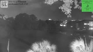 Barefoot Live Stream Live Stream Net Worth