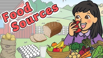 Where Does Our Food Come From? | Food Sources | Science for Kids!
