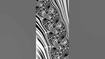 #hypnotic #shorts #visualart Trance Trip through the Mandelbrot: Black & White Animation Spectacle