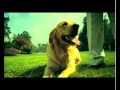 اعلان كونو مختلف Flv 