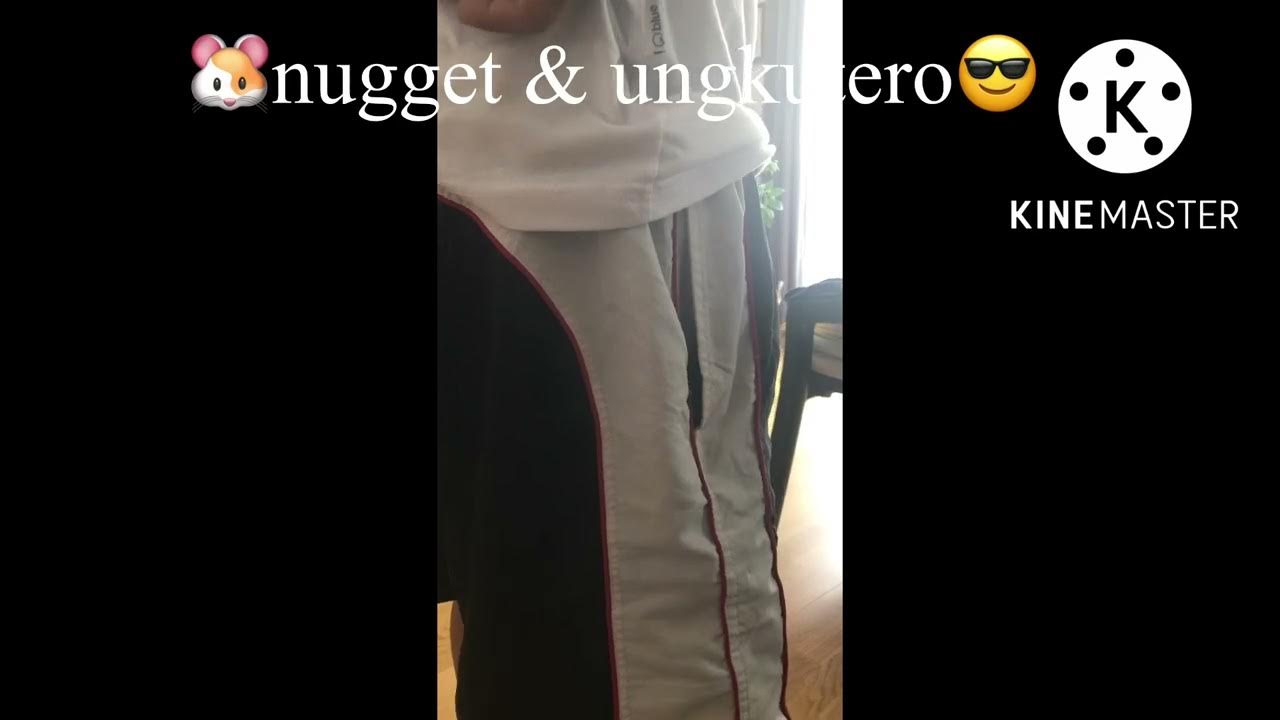 hamster in my pocket YouTube