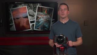 Canon 11-24Mm Lens Review