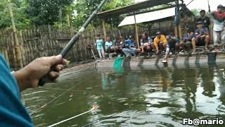 Ivent mancing ikan nila di Kp Bocil fishing