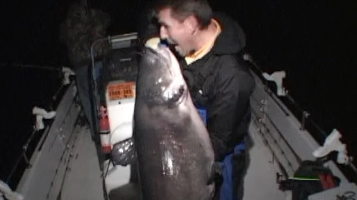 Catfish Trolling on Santee Cooper Lakes