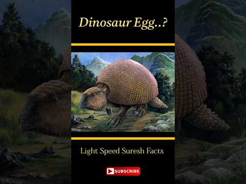 విచిత్రమైన వస్తువు Dinosaur Egg? #facts#telugu#trending#factshorts#viral#ytshorts#youtubeshorts