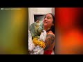 Middle of video