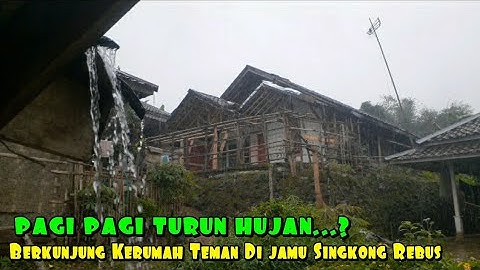 BIKIN RINDU⁉️Pagi pagi turun hujan,sambil makan singkong rebus Bersama teman nikmatnya luar biasa..