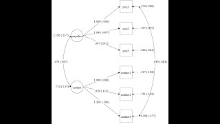 Celebrity Confirmatory factor analysis using MPLUS Net Worth