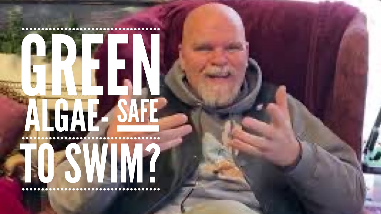 Green algae safe to swim? YouTube