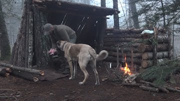 Bushcraft: Prepare the shelter for the winter.Chop wood.Cook over the fire.Cover the roof with moss