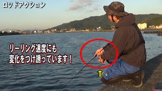 爆釣 釣りプロが教えるトゥイッチングの極意とミノーの使い分け エリア化とは Youtube 爆釣 釣りプロが教えるトゥイッチングの極意とミノーの使い分け エリア化とは Youtube