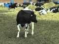 Аграрний прорив