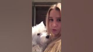 mvsll   В Магаз