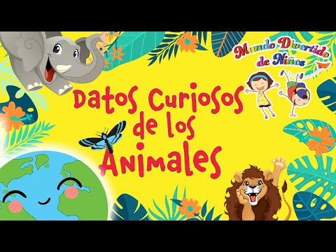 Video: Datos interesantes sobre la naturaleza y los animales. Datos interesantes sobre la naturaleza para niños