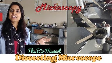 Dissecting Microscope 🔬II Stereo II Basic Microscopy II Lab skills 👩‍🔬