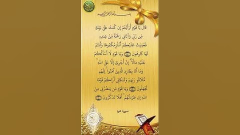 #سورة_هود #صلاح_بوخاطر #القرآن_الكريم #المصحف #اكسبلور #duet #دويتو #quran #تيك_توك