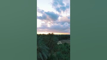 (إن الله وملائكته يصلون على النبي) تلاوه الشيخ عبد العزيز العبنق