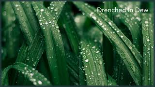 Audio Devotional Moments: August 23 - Drenched in Dew by The Congregation Of Yahweh UK 99 views 10 months ago 4 minutes, 9 seconds