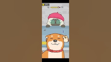 Hide And Seek: Cat Escape! Level#98 #shorts