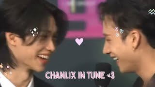 Stray Kids - Chan & Felix (CHANLIX MOMENTS)