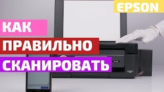 Как сканировать | На примере МФУ Epson XP-352