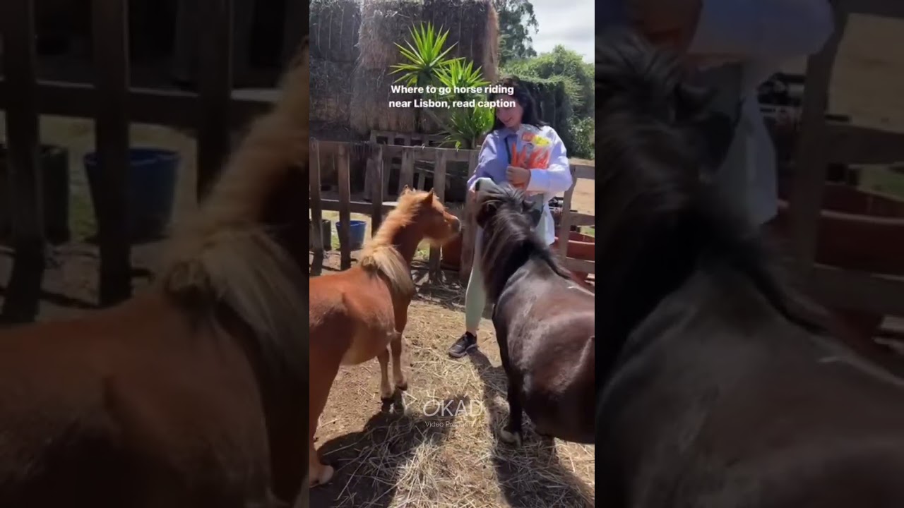 Travel Tips Video Editing | 