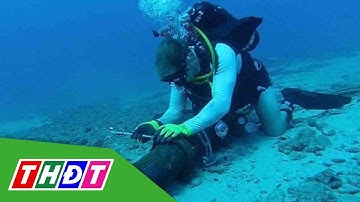 5/5 tuyến cáp quang biển kết nối internet đến Việt Nam đều gặp lỗi | THDT