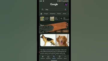 Google fun tricks #dog lover #google #tricks