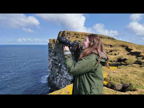 Orkney: This RSPB Project Save Native Wildlife! | Bird Photography& Wildlife Conservation