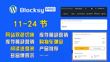 WordPress高级功能汇总 网站双色切换，App式菜单，库存稀缺，产品推荐，Sticky Cart，浮动购物车等#WordPress建站 #Blocksy #独立站