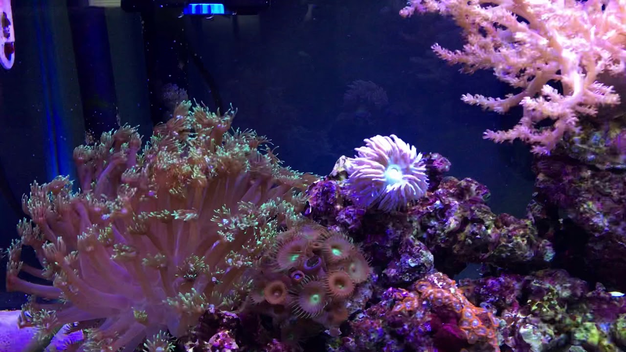 Gallery image with a fresh perspective