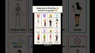 Web Development Explained Like a Human Body! 🧑‍💻