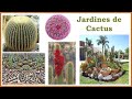 Jardines de cactus  jardn de cactceas 