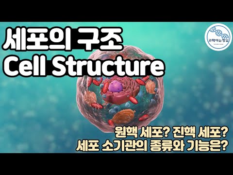 세포 구조 ( Cell Structure)