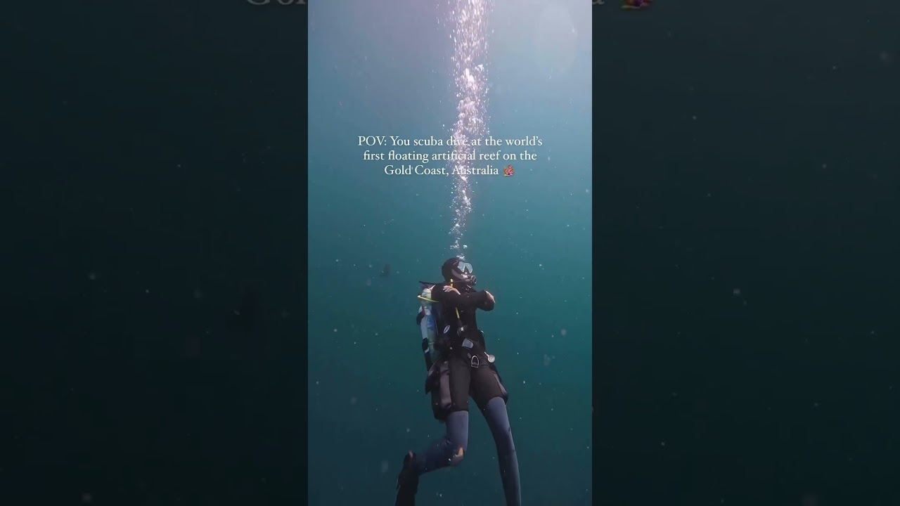 Dive at Wonder Reef on the Gold Coast! 🪸 