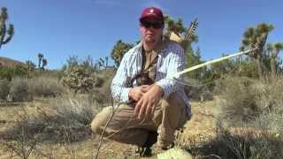 Shooting a Primitive Bow and Self-made Arrow, Part 5