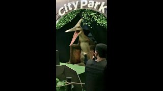 Rex Nonton Petunjukan Dinosaurus di Dino City Attack Show