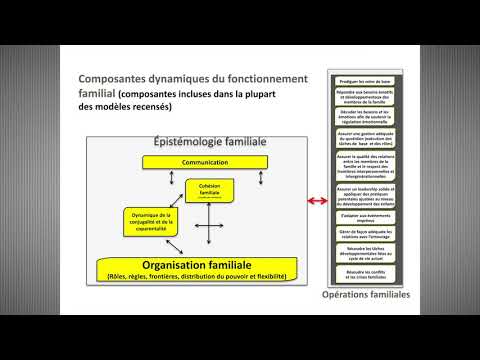 Carte conceptuelle du fonctionnement familial