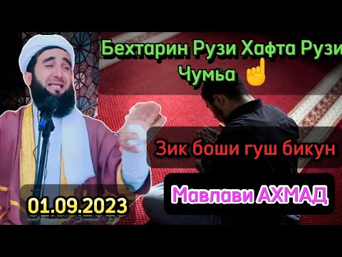 Мавлави Ахмад Зик Боши Гуш Бикун 2023