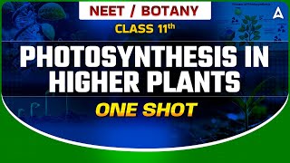 PHOTOSYNTHESIS IN HIGHER PLANTS CLASS 11 ONE SHOT | निर्णायक SERIES NEET 2024 | BOTANY BY SANKALP