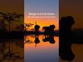 Things to Do in Kenya | Safari, Beaches, Wildlife & Complete Kenya Travel Guide