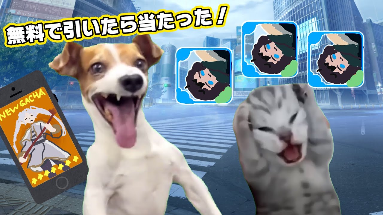 廃課金者の末路【猫ミーム】