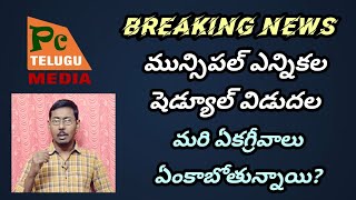 #Municipal Elections schedule released | Pc Telugu Media